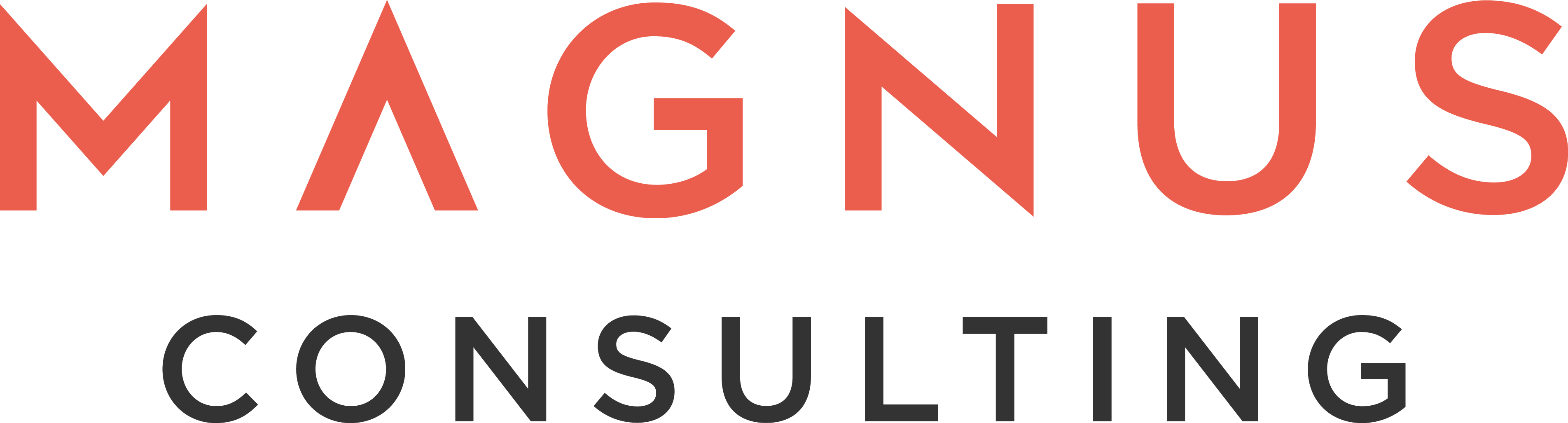 Magnus Consulting